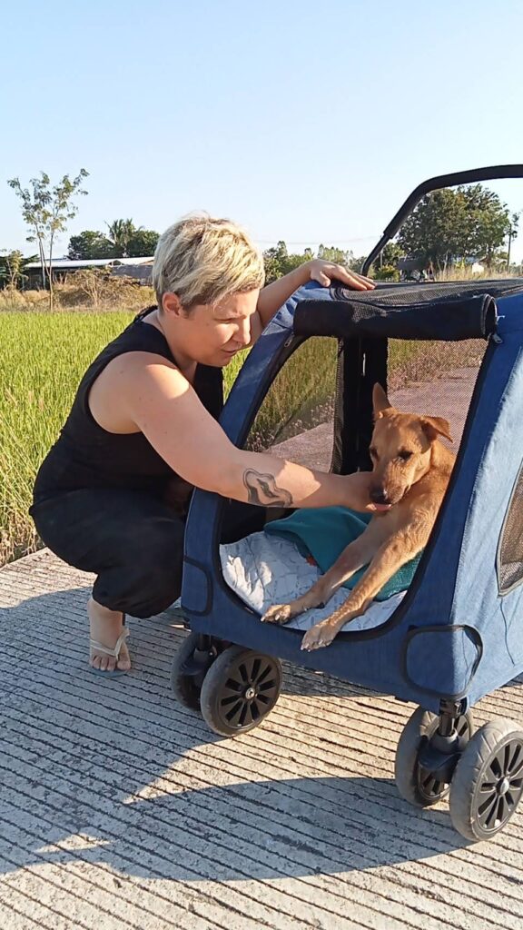 Caroline Dubois - bénévole venue aider le refuge pour chiens Ban ObOun en Thaïlande